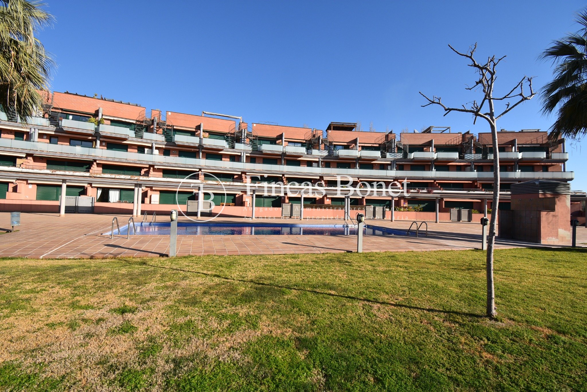 DSC_3692_watermarked