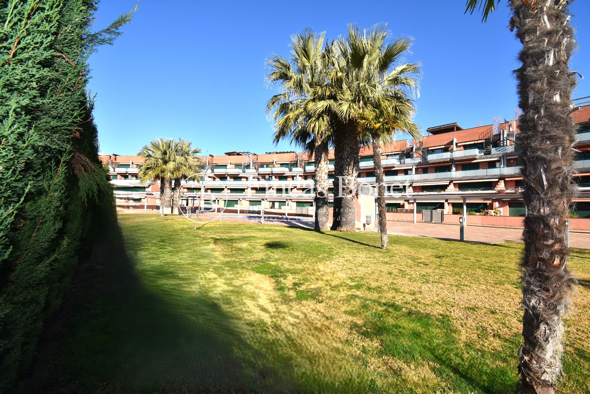 DSC_3695_watermarked