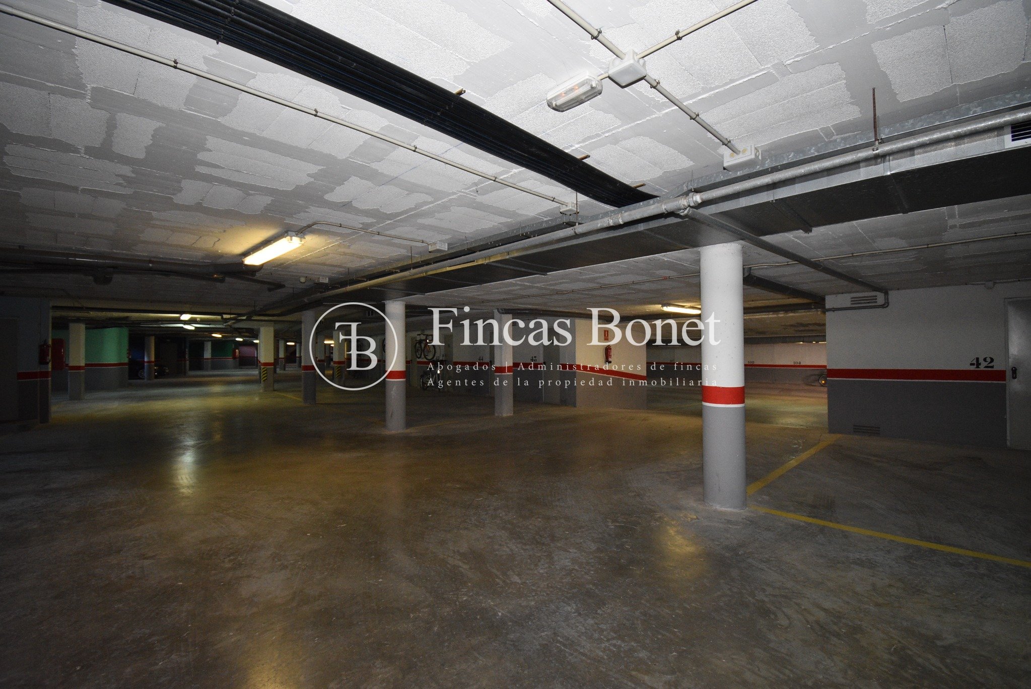 DSC_3699_watermarked