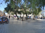 calle