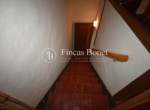 DSC_5288_watermarked