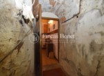DSC_5334_watermarked