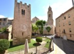 DSC_6233_watermarked