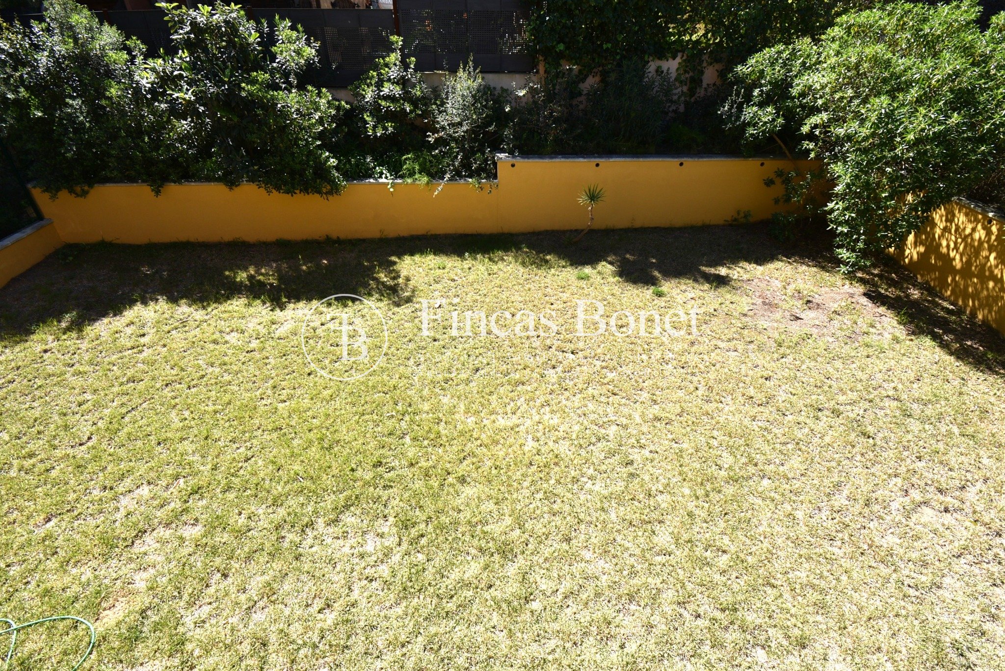 DSC_8075_watermarked