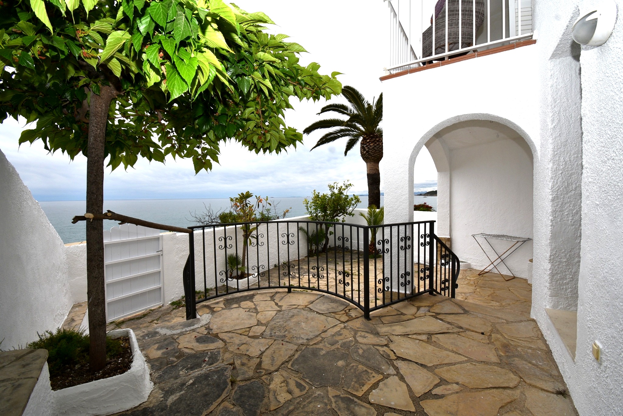 DSC_8703_editada