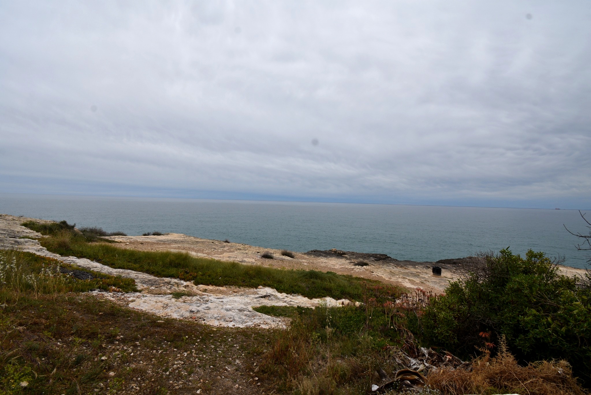 DSC_8706_editada