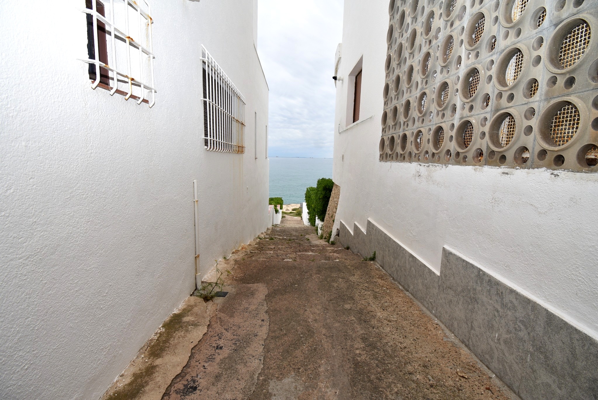DSC_8715_editada