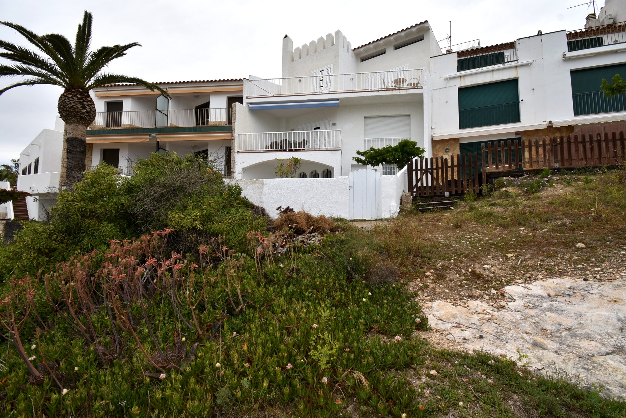 DSC_8723_editada
