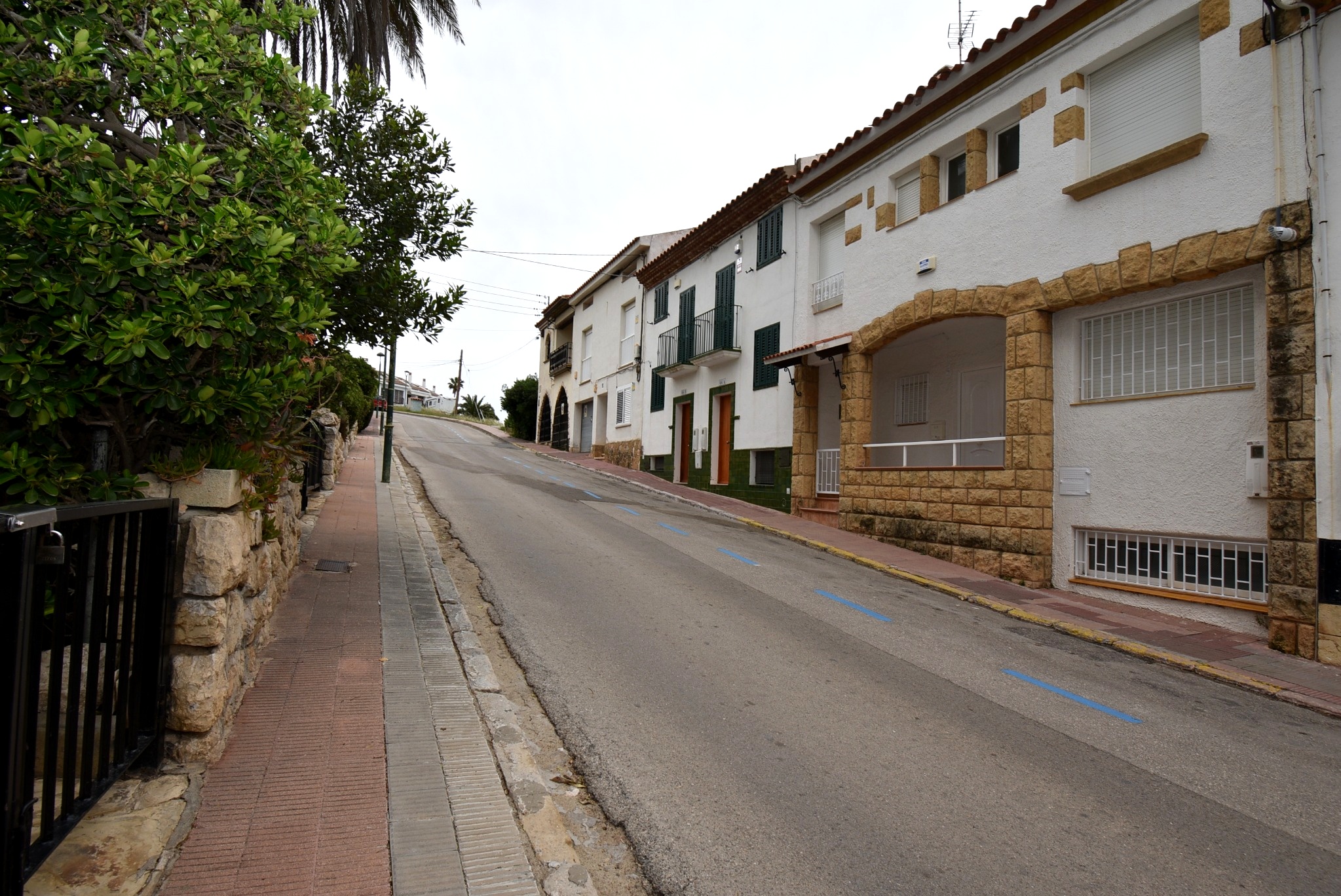DSC_8726_editada
