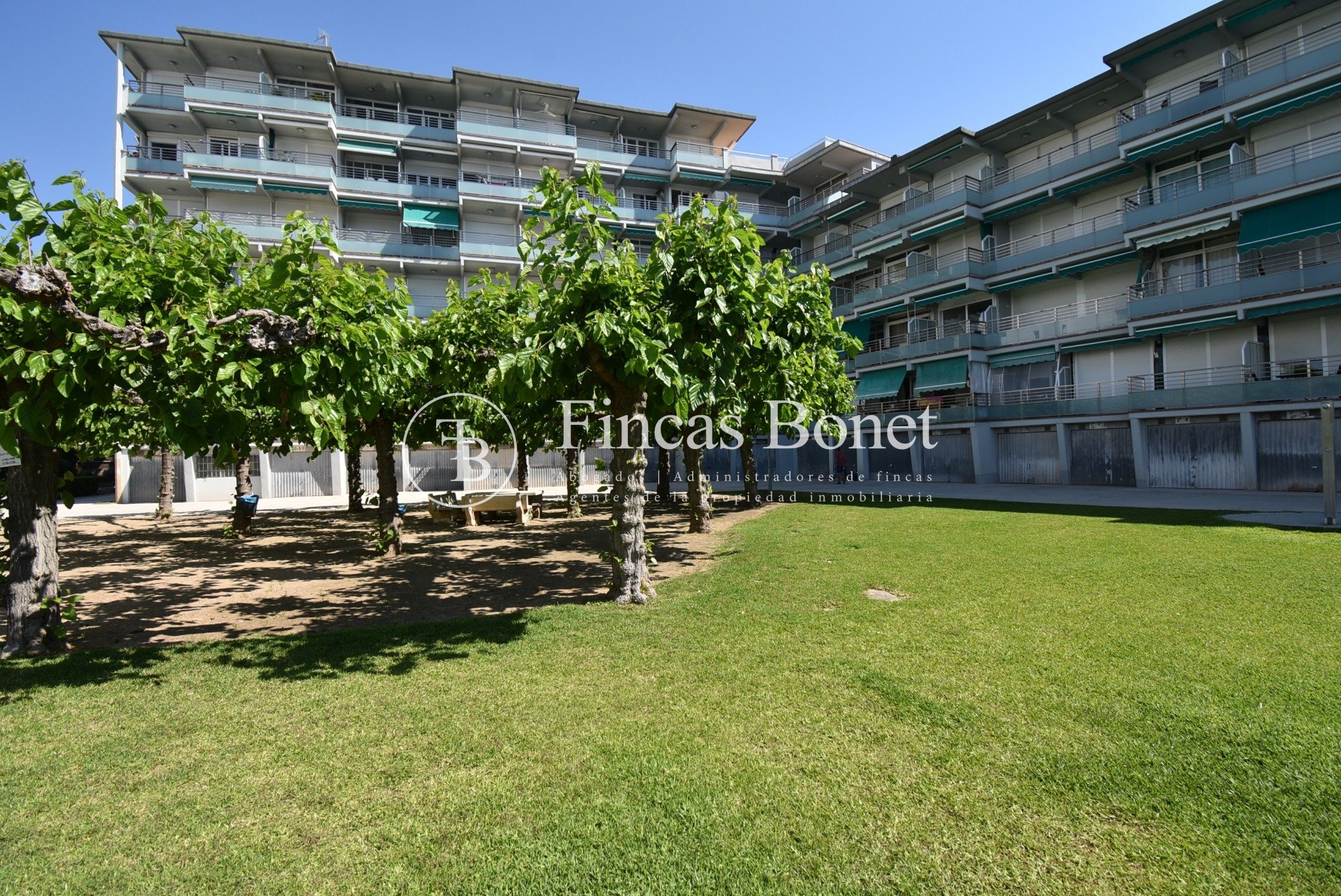 DSC_8900_watermark